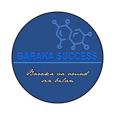 Логотип компании BARAKA SUCCESS — партнёр по поставкам стали